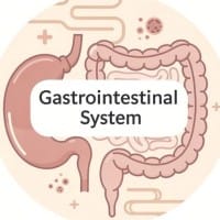 Gastrointestinal System