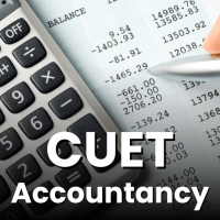 Accountancy Practice Tests  CUET Preparation