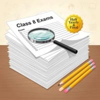 Half Yearly and Final Exam Papers for Class 8