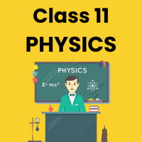 Physics Class 11