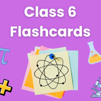 Flashcards for Class 6