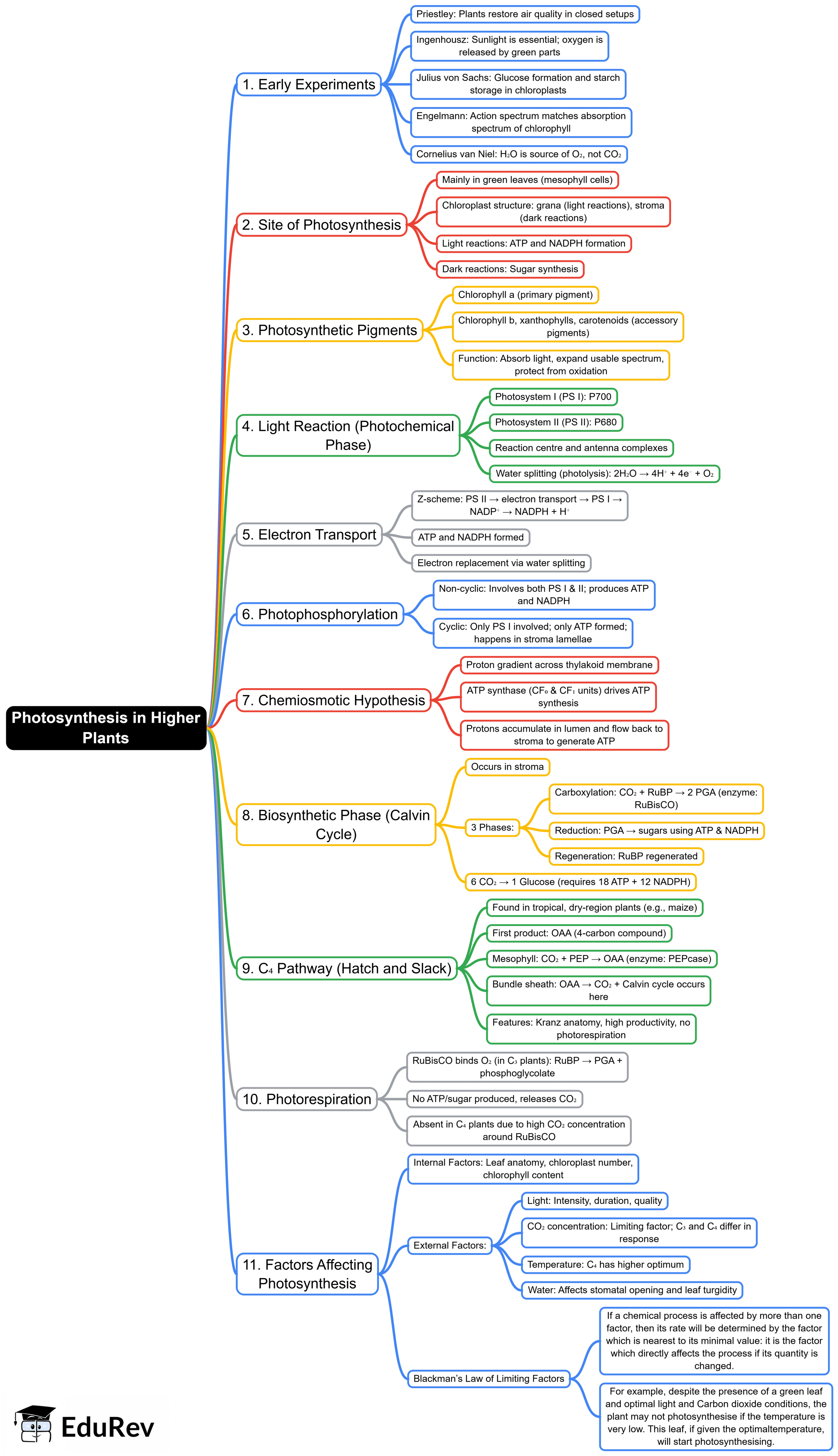 Mind Map: Photosynthesis in Higher Plants | Biology Class 11 - NEET