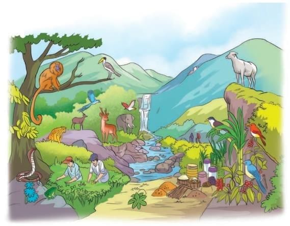 Some Unique Places Chapter Notes | Our Wondrous World  Class 5 - New NCERT