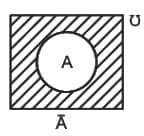 Basic classifications