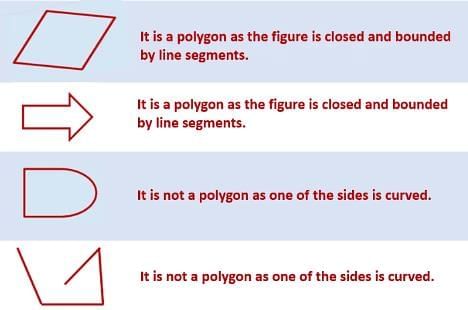 Basic Concepts in Geometry Chapter Notes | Mathematics Class 6 (SSC Board)