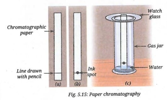 Activity 5.5: Let us investigate