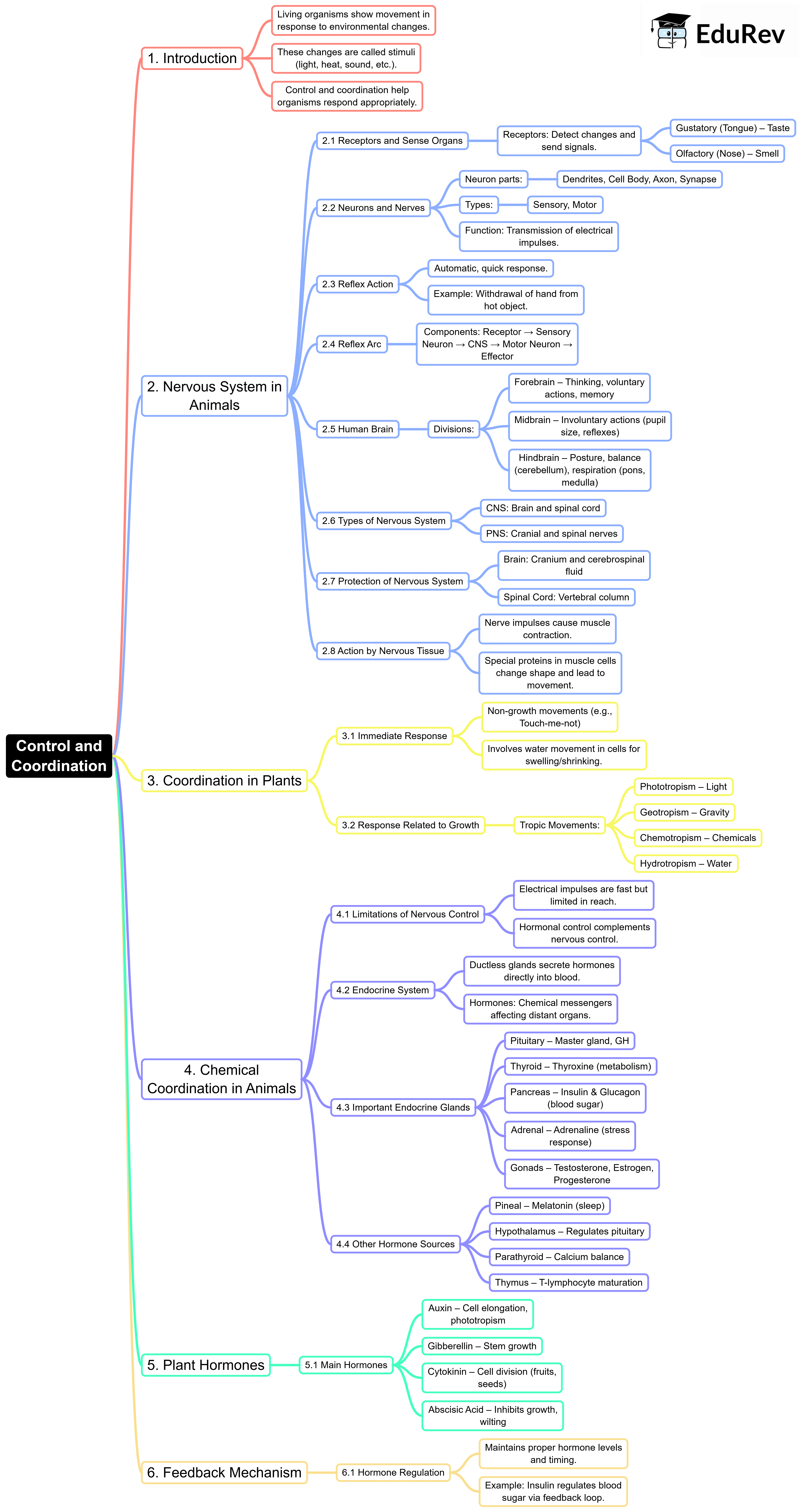 Mind Map: Control & Coordination | Subject-Wise Mind Maps for Class 10