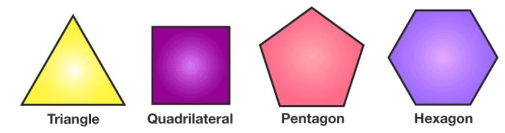 Triangles and Quadrilaterals Chapter Notes | Mathematics Class 6 ICSE