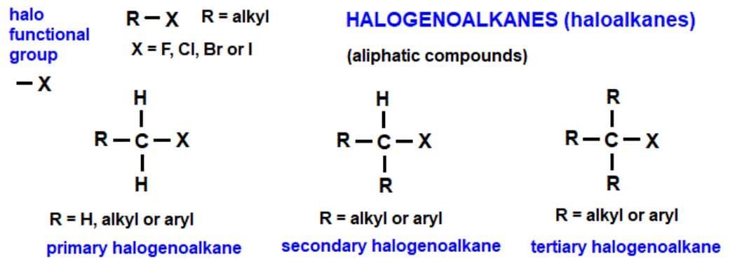 Mnemonics: Haloalkanes and Haloarenes | Chemistry Class 12 - NEET