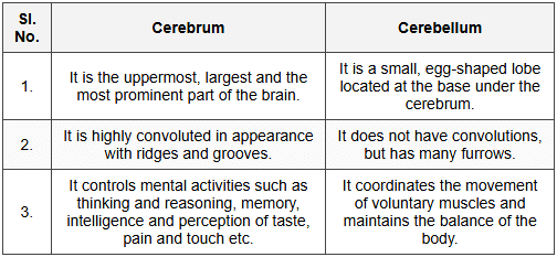 Differentiate between