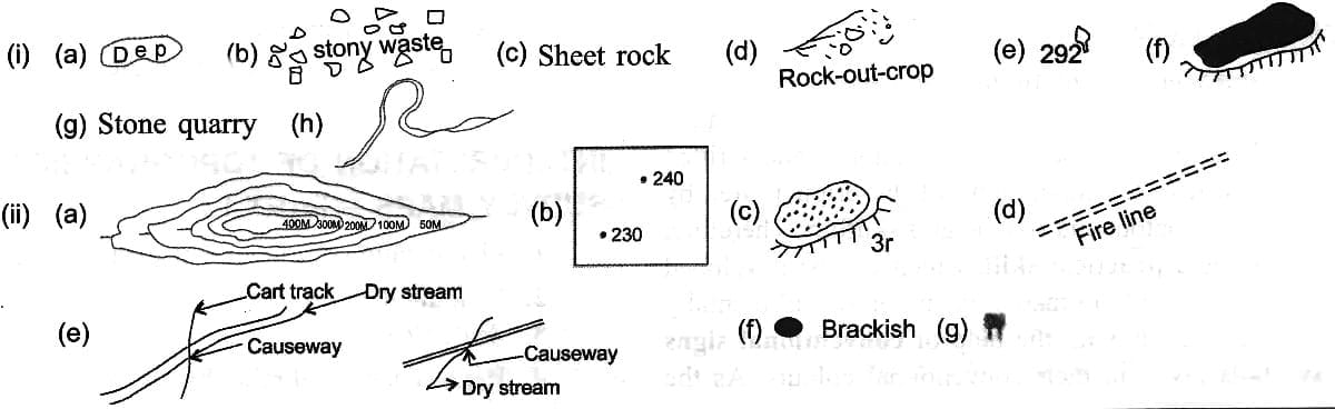 Answer the following questions