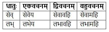 धातुरूपाणि Chapter Notes | Chapter Notes For Class 8