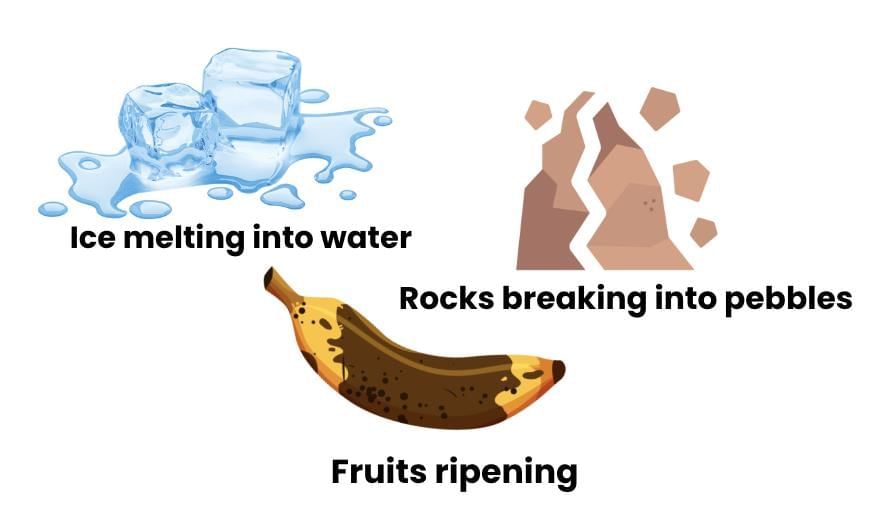 The Ever-Evolving World of Science Class 7 Notes Science Chapter 1 Free PDF