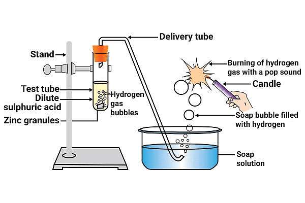 (i) Reaction of Acids with Metals 