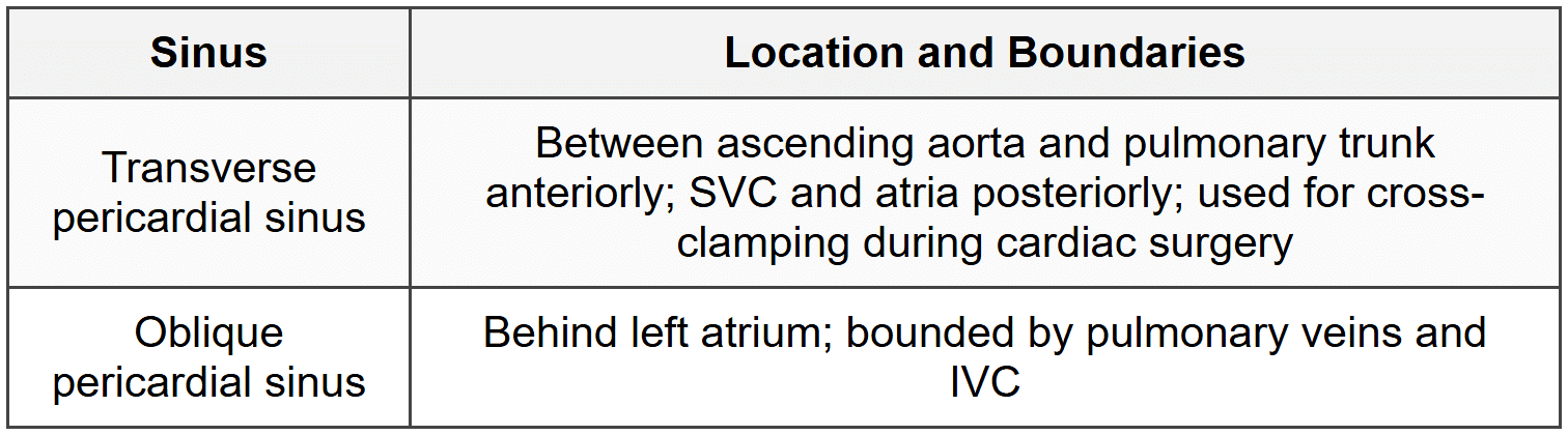 3.1.2 Pericardial Sinuses
