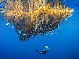 Q1: Fill in the Blanks.