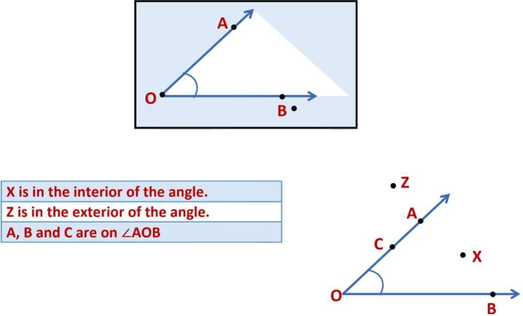 Basic Concepts in Geometry Chapter Notes | Mathematics Class 6 (SSC Board)