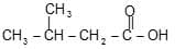 (D) Substituents
