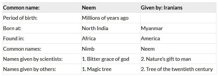 Neem Baba NCERT Solutions | English for Class 6