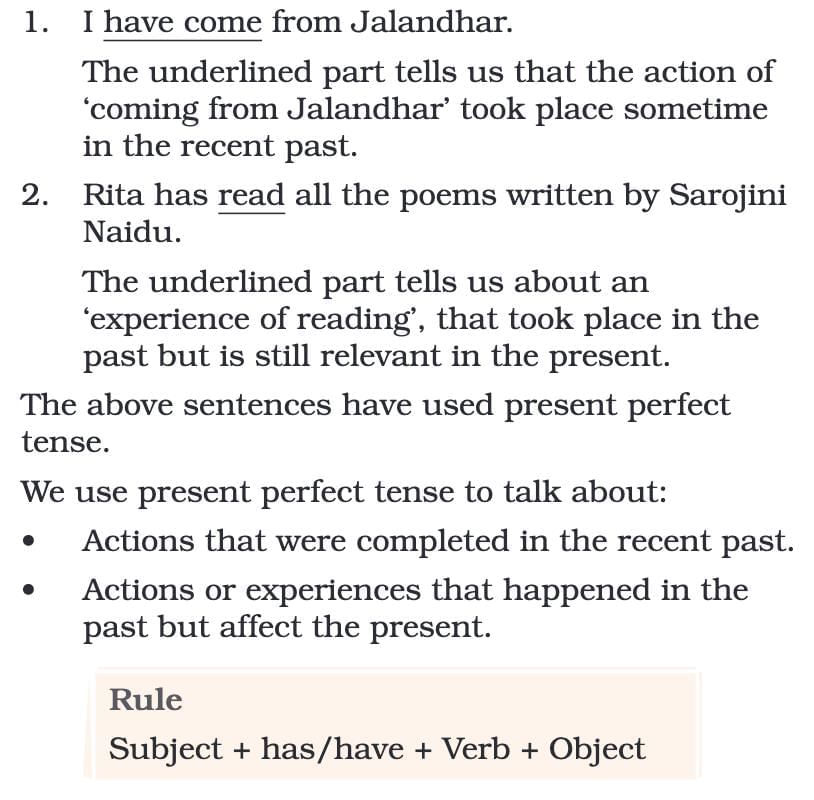 The Wise Parrot NCERT Solutions | English Santoor Class 5 - New NCERT