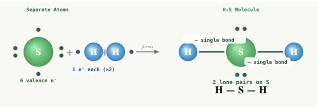Pause and Ponder (Page 171)