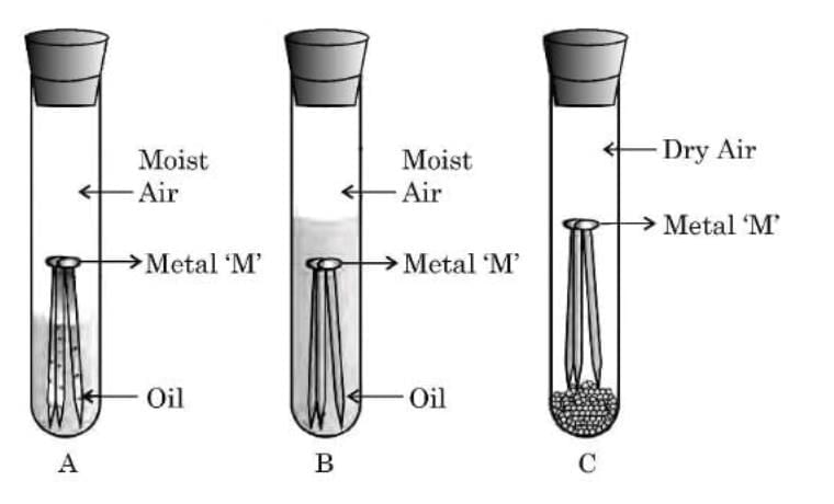 Class 10 Science Chapter 3 Previous Year Questions - Metals and Non-metals