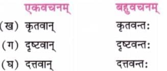 NCERT Solutions for Class 7 Sanskrit Chapter 5 सेवा हि परमो धर्म