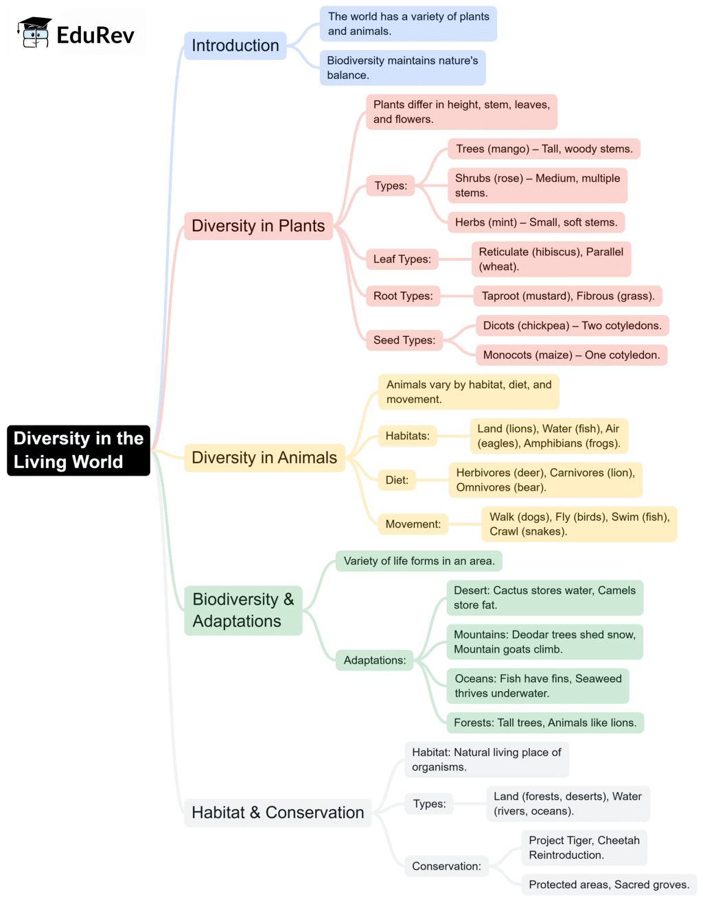 Mindmap: Diversity in the Living World | Science Olympiad Class 6