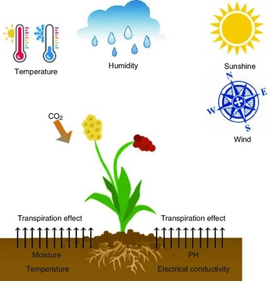 Revision Notes: Transpiration | Year 9 Science IGCSE (Cambridge) - Class 9