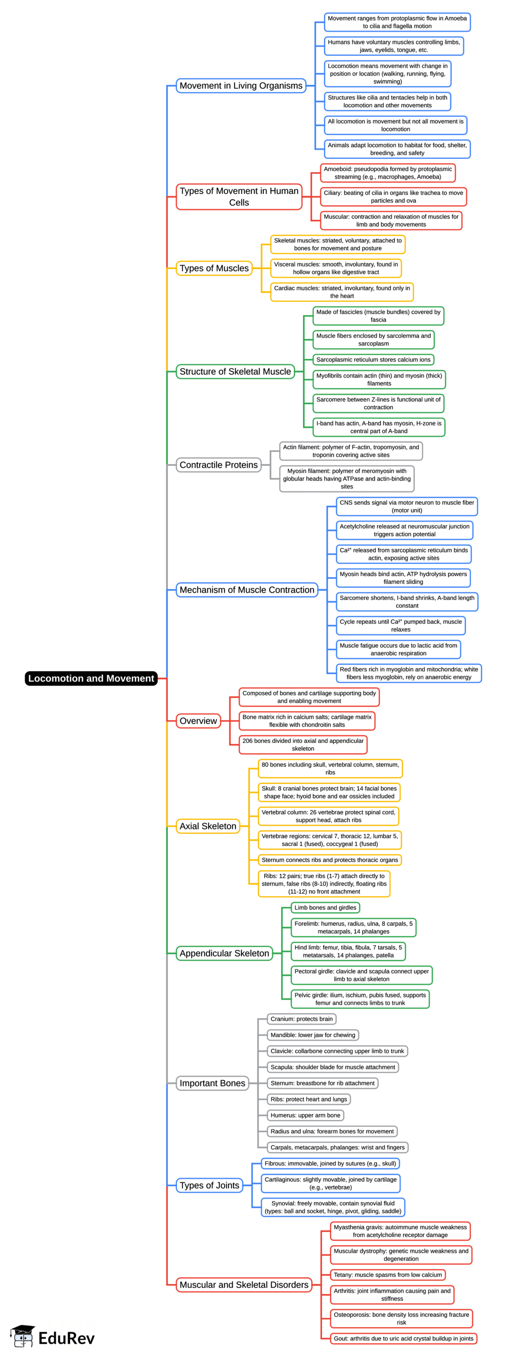 Mind Map: Locomotion & Movement