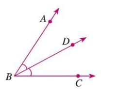 Constructions Chapter Notes | Mathematics Class 6 ICSE