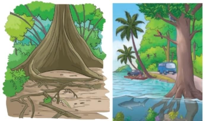 Some Unique Places Chapter Notes | Our Wondrous World  Class 5 - New NCERT