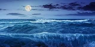 Q6: Short Answer Questions.