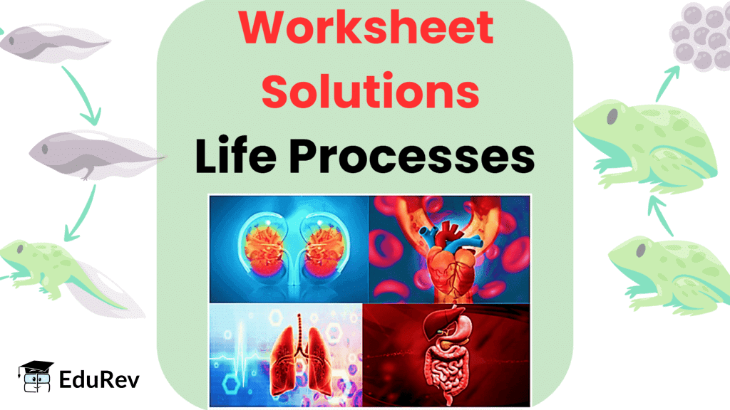 Life Processes- 1 Class 10 Worksheet Science