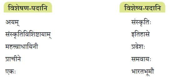 पश्यत कोणमैशान्यं भारतस्य मनोहरम् NCERT Solutions | Sanskrit  (Deepakam) Class  8  -  New  NCERT - Class 8