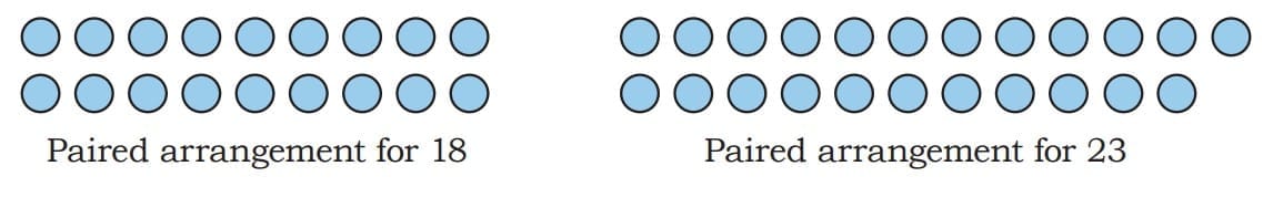 Even and Odd Numbers