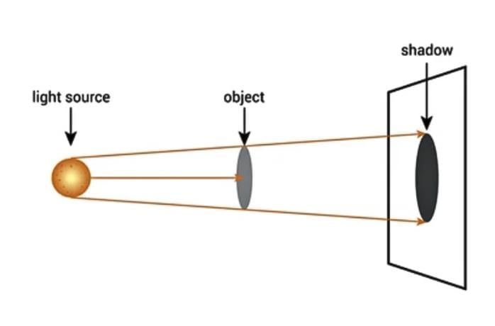 Light: Shadows and Reflections Class 7 Notes Science Chapter 11 Free PDF