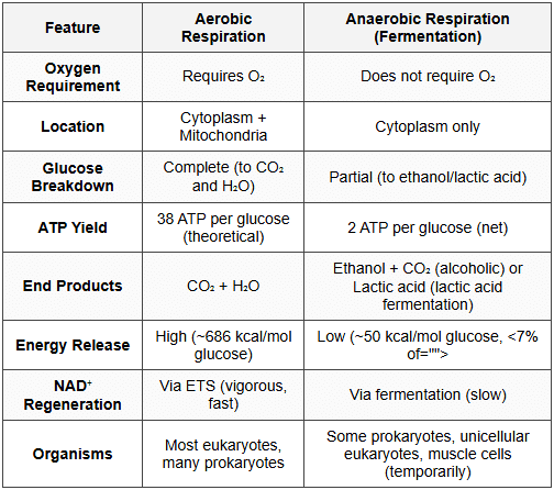 9.1 Aerobic vs Anaerobic Respiration