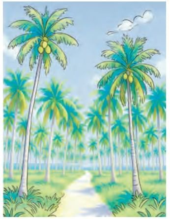 Coconut Farm Chapter Notes | Mathematics (Maths Mela) Class 5 - New NCERT