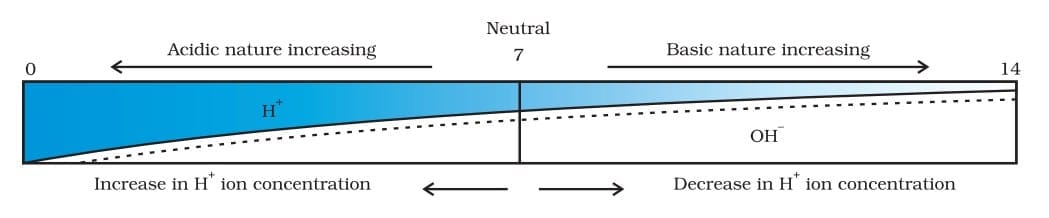 Variation of pH with the change in concentration of H+ (aq) and OH- (aq) ions