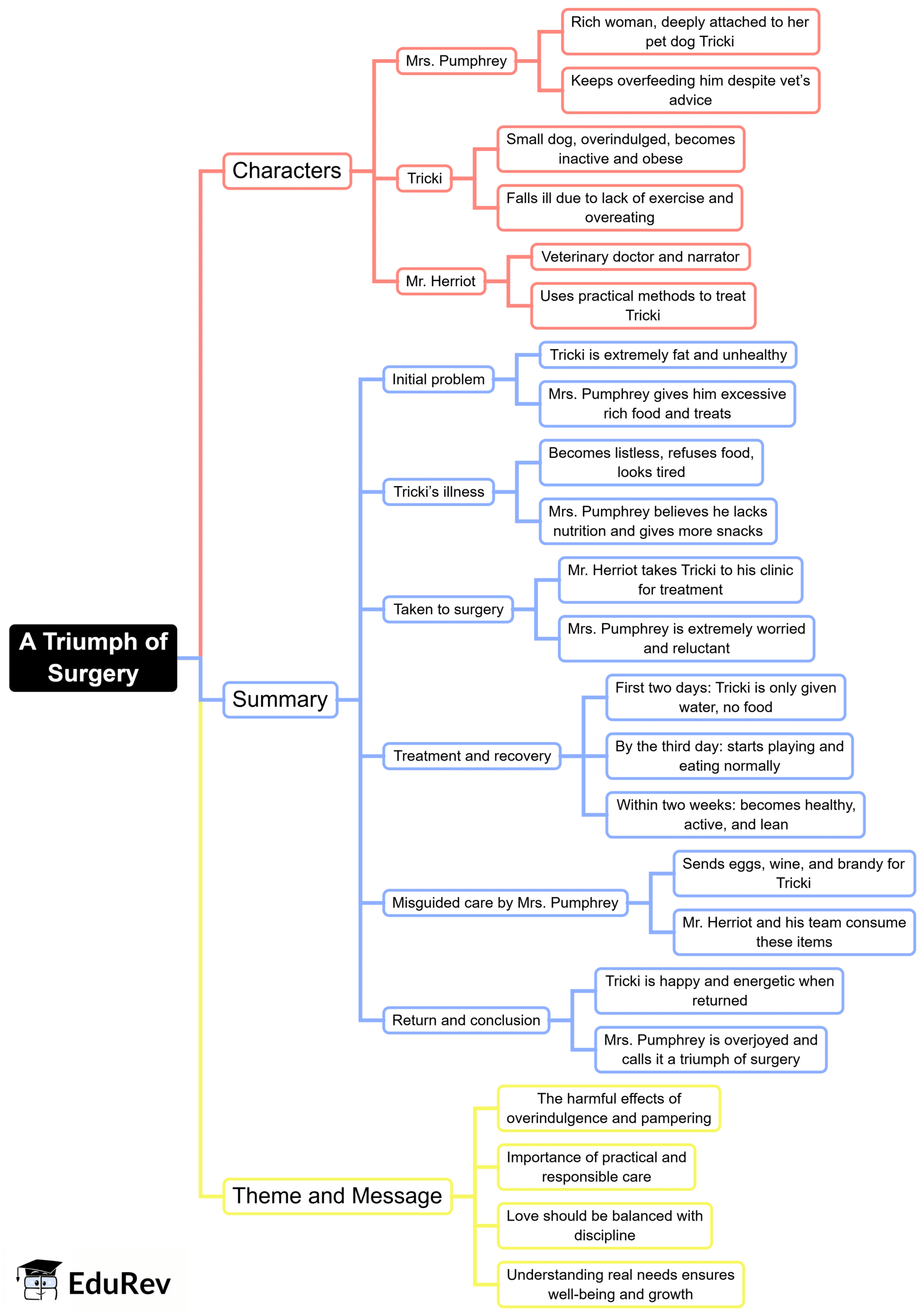 Mind Map: A Triumph of Surgery | English Class 10