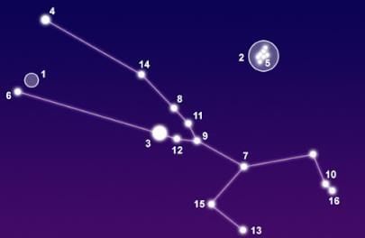 Constellations | General Knowledge for Young Learners - Class 1