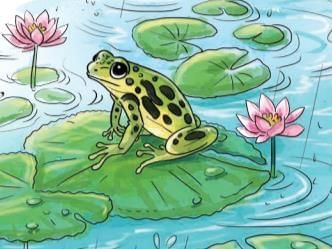 Detailed Summary: The Frog | English Santoor Class 5 - New NCERT