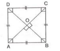 Chapter notes: Special Types of Quadrilaterals | Mathematics Class 8 ICSE