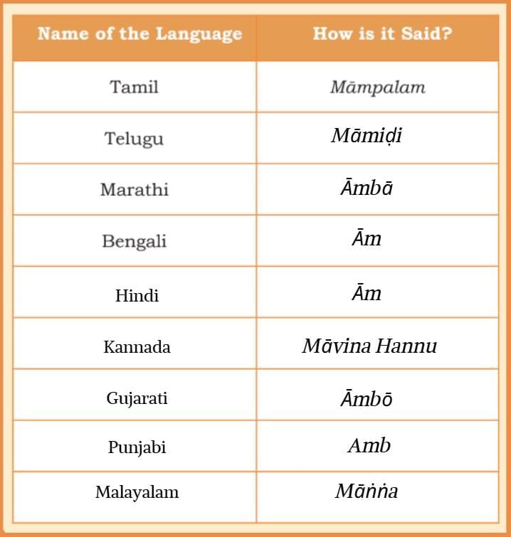 Our Vibrant Country NCERT Solutions | Our Wondrous World  Class 5 - New NCERT