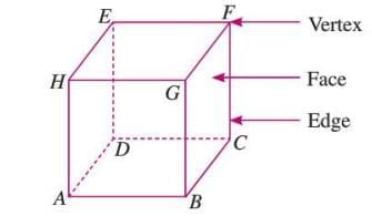 Three-dimensional Shapes Chapter Notes | Mathematics Class 6 ICSE