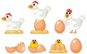 Class 5 Science - Animal Life - CBSE Worksheets Solutions - 1