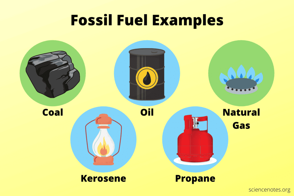 Class 10 Geography Chapter 5 Previous Year Questions - Minerals and Energy Resources