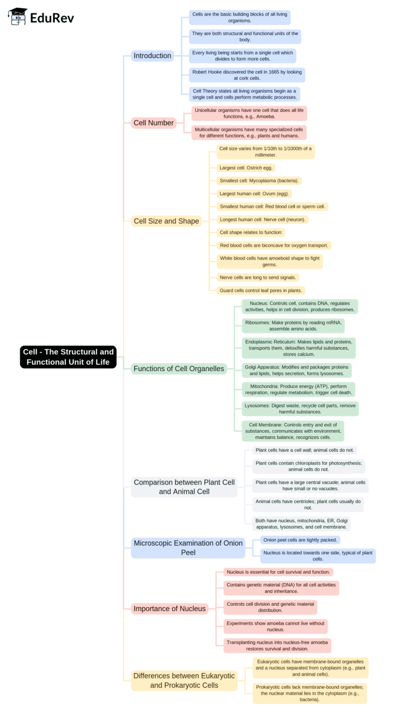 Mind Map: Cell - The Structural and Functional Unit of Life PDF Download