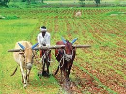 Goa: Cropping Pattern | Goa State PSC (GPSC) Preparation - GPSC (Goa)